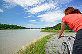 Woman cycling along Inn river, Windshausen, Upper Bavaria, Bavaria, Germany