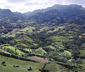 Marlboro Hills in Batanes, Batan Insel, Batanes, Philippinen, Asien