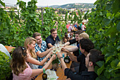 People sitting amidst vines at a festival at Weingut am Stein winery, Wuerzburg, Franconia, Bavaria, Germany