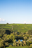 View across Mainschleife alongside Main river to Nordheimer Vögelein and Sommeracher Katzenkopf vineyards, near Escherndorf, Franconia, Bavaria, Germany