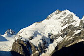 Piz Bernina mit Biancograt, Bernina, Oberengadin, Engadin, Graubünden, Schweiz