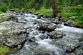 Stream flowing through mountain valley, Natural Park Mont Avic, Graian Alps range, valley of Aosta, Aosta, Italy