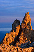 Pinnacles of Latemar in the alpenglow, Latemar range, Dolomites, UNESCO world heritage Dolomites, Trentino, Italy