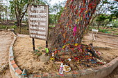 Killing Tree at the Killing Fields of Choueng Ek, child victims under the Khmer Rouge, Phnom Penh, Cambodia, Indochina, Southeast Asia, Asia