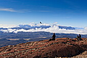 Hikers watch a condor (Vultur gryphus), Ferrier Vista Point, eastern flank of Pingo Valley, Torres del Paine National Park, Patagonia, Chile, South America