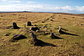 Prehistoric ceremonial lines of stones, Merrivale, Dartmoor National Park, Devon, England, United Kingdom, Europe