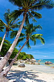 Palm trees and Lamai Beach, Koh Samui, Thailand, Southeast Asia, Asia