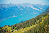 View of Lake Interlaken from Schynige Platte, Bernese Oberland, Swiss Alps, Switzerland, Europe