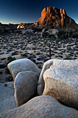 Landscape, Joshua Tree National Park, California, United States of America, North America