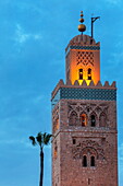 The Minaret of the Koutoubia Mosque, illuminated at dusk with single palm tree, UNESCO World Heritage Site, Marrakech, Morocco, North Africa, Africa