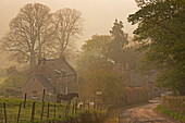 Cottages in the village of Chillingham on a misty Spring morning, Northumberland, England, United Kingdom, Europe