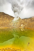 Green crater lake and steaming fumaroles at Papandayan Volcano, an active four cratered caldera, Garut, West Java, Java, Indonesia, Southeast Asia, Asia