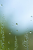 Drops of condensation on window pane