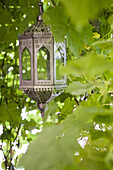 Moroccan lantern against background of lush foliage