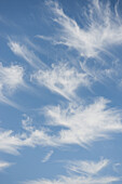 Wispy clouds in blue sky