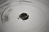 Drop splashing on surface of water