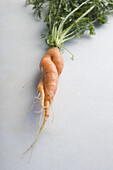 Twisted carrot