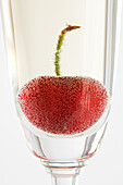 Cherry in glass of champagne, close-up