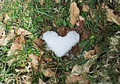 Ice in shape of heart in grass