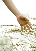 Woman's hand touching grass