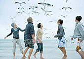 Group of young adults on beach, looking up at seagulls