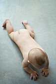 Naked baby crawling on floor, full length, viewed from directly above