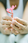 Woman holding flower in hands, cropped view, close-up