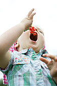 Little girl holding open mouth for bunch of red currants