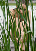 Young woman sitting on deck in swimsuit, reeds in foreground, looking at camera