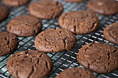 Detail of chocolate cookies on a rack