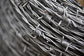 Detail of a coil of barbed wire