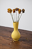 A vase of dried flowers