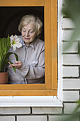 A senior woman tending to a lily houseplant on the window sill, viewed through window