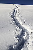 Human trail on snow
