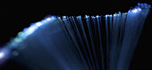 Abstract close-up of top section of a fiber optic lamp