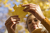 A woman examining an autumn leaf, low angle close-up of hands