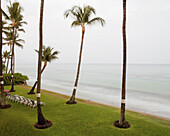 Palm trees and sun loungers at beach in Maui, Hawaii