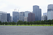 Skyscrapers in marunouchi business district viewed from outer gardens of Imperial Palace, Tokyo
