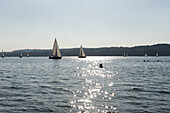 Silhouetted swimmers and sailboats in lake at Starnberger Sea, Bavaria, Germany