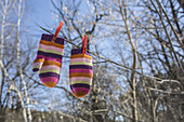 Pair of striped mittens pegged to branch