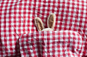 A stuffed bunny's ears sticking out of a gingham duvet