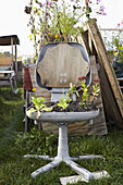 Plants growing on chair in garden