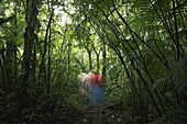 Blurred motion of people walking in forest