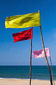 Colored flags flapping in the wind on a beach