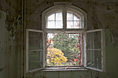 An open window in an abandoned building, Beelitz-Heilstaetten, Germany