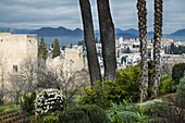 View of cityscape from garden, Alhambra, Granada, Spain
