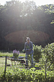 Mature woman loading flower pots in wheelbarrow at garden