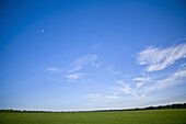 View of a green landscape with sky above