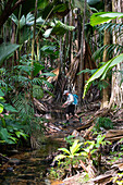 Sea kayak tour with catamaran as basecamp on the Seychelles, Indian Ocean