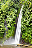 Air Terjun Munduk Wasserfall, Munduk, Bali, Indonesien